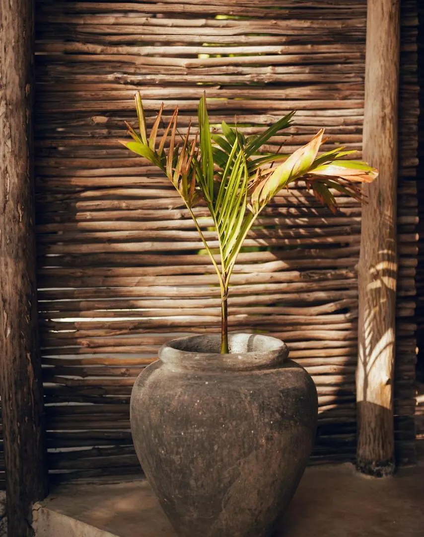 Hotel Tribal Tulum 4*,  Messico